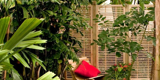 Gartengitter aus Holz - Welche Gitter sollten Sie für Ihren Garten wählen?